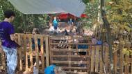 IMG20250818111219