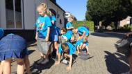 IMG20250819095211